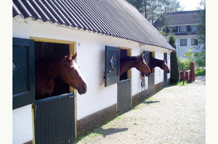 Fletcher Hotel De Mallejan met paardenstalling VMP009